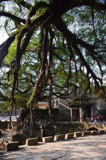 博皓游記 | 夏風(fēng)微醺的綺夢(mèng)，領(lǐng)略賀州黃姚古鎮(zhèn)、姑婆山閑憩之美-12