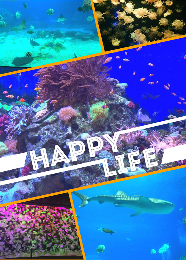 廣東博皓親子游：珠海長隆海洋王國，探索海洋生物的奧秘，奇妙的動物世界