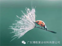 【博皓感悟】成功，要“借力”，不要“盡力”