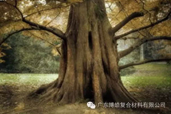 【博皓感悟】欲為大樹，莫與草爭-4