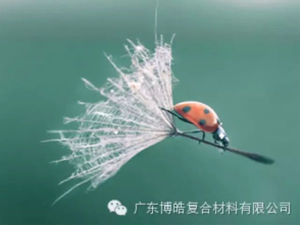 【博皓感悟】成功，要“借力”，不要“盡力”